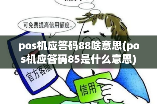 pos机应答码88啥意思(pos机应答码85是什么意思)