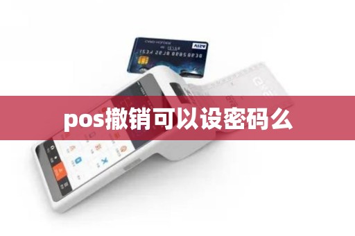 pos撤销可以设密码么