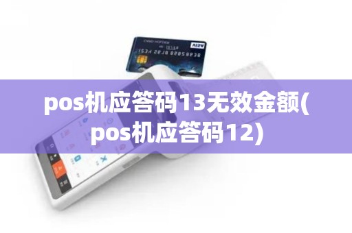 pos机应答码13无效金额(pos机应答码12)