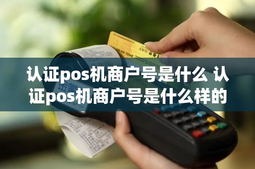 认证pos机商户号是什么 认证pos机商户号是什么样的