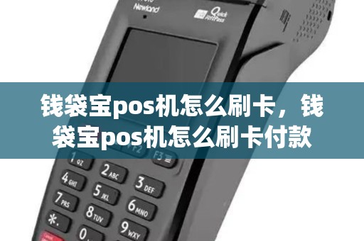 钱袋宝pos机怎么刷卡，钱袋宝pos机怎么刷卡付款