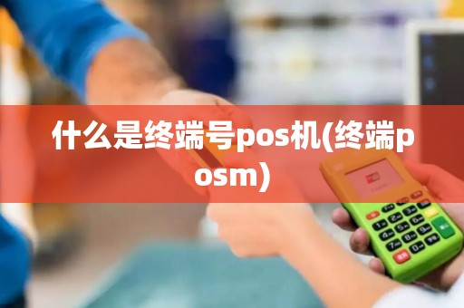 什么是终端号pos机(终端posm)