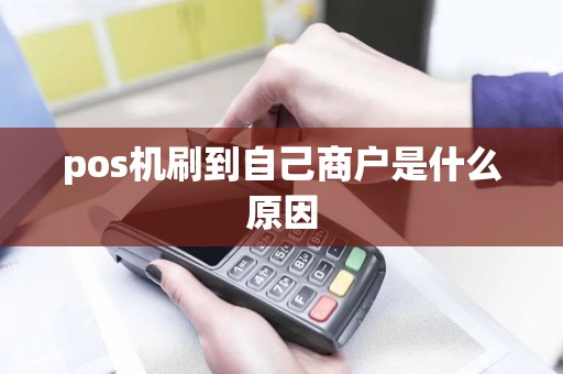 pos机刷到自己商户是什么原因