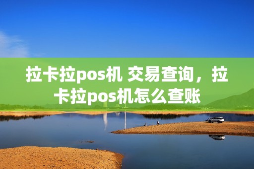 拉卡拉pos机 交易查询，拉卡拉pos机怎么查账