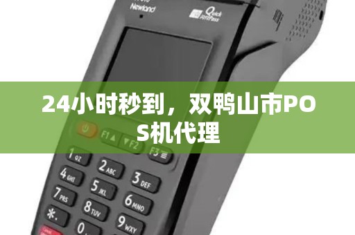 24小时秒到，双鸭山市POS机代理