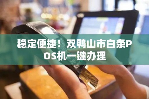 稳定便捷！双鸭山市白条POS机一键办理