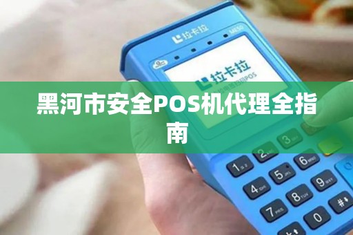 黑河市安全POS机代理全指南