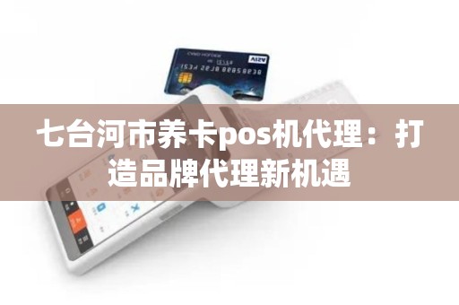 七台河市养卡pos机代理：打造品牌代理新机遇