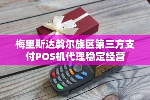 梅里斯达斡尔族区第三方支付POS机代理稳定经营