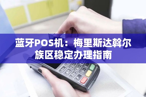 蓝牙POS机：梅里斯达斡尔族区稳定办理指南