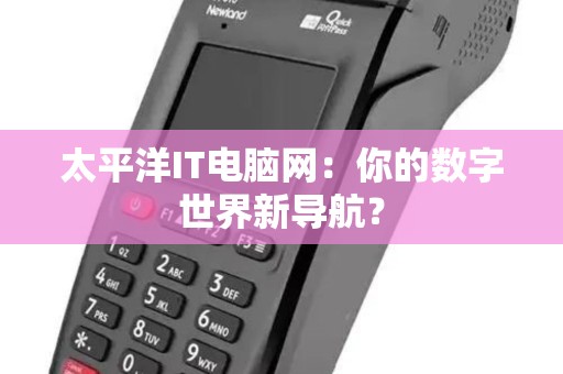 太平洋IT电脑网：你的数字世界新导航？