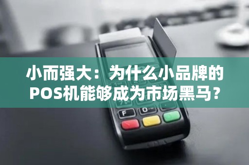 小而强大：为什么小品牌的POS机能够成为市场黑马？