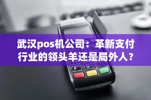 武汉pos机公司：革新支付行业的领头羊还是局外人？