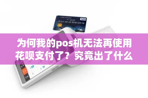 为何我的pos机无法再使用花呗支付了？究竟出了什么问题？