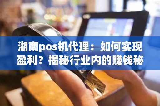 湖南pos机代理：如何实现盈利？揭秘行业内的赚钱秘籍！