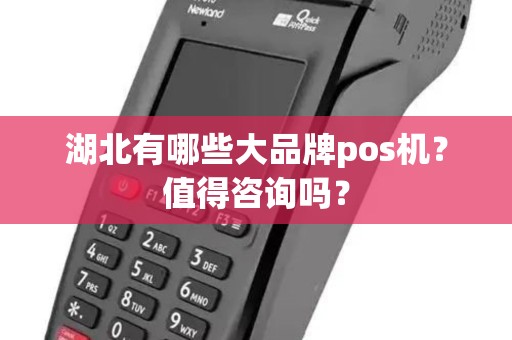 湖北有哪些大品牌pos机？值得咨询吗？