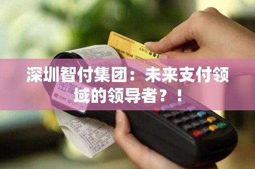 深圳智付集团：未来支付领域的领导者？！