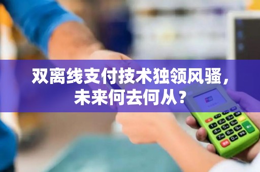 双离线支付技术独领风骚，未来何去何从？