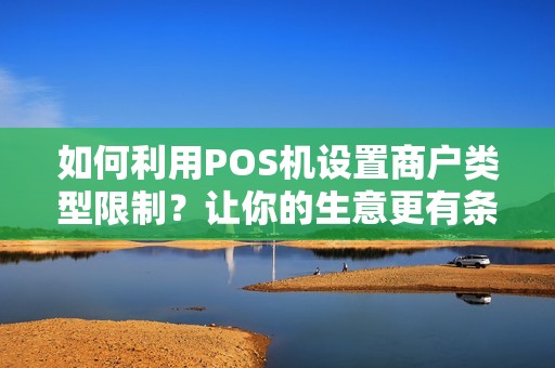 如何利用POS机设置商户类型限制？让你的生意更有条不紊！