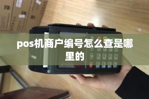 pos机商户编号怎么查是哪里的