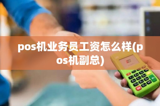 pos机业务员工资怎么样(pos机副总)
