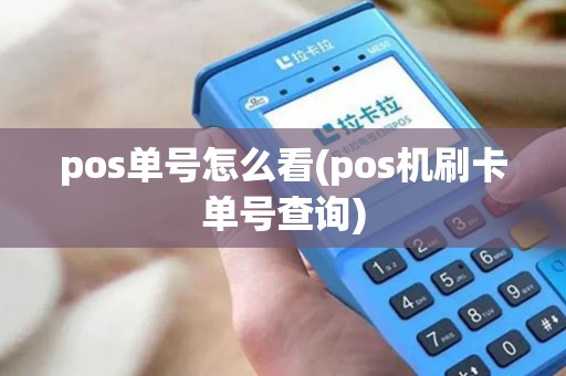 pos单号怎么看(pos机刷卡单号查询)