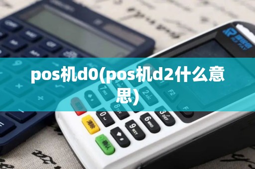 pos机d0(pos机d2什么意思)