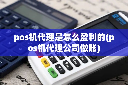 pos机代理是怎么盈利的(pos机代理公司做账)