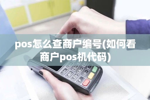 pos怎么查商户编号(如何看商户pos机代码)