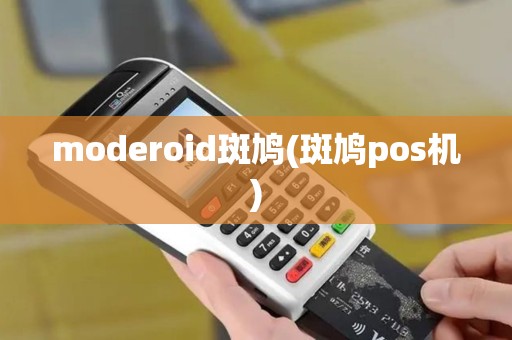 moderoid斑鸠(斑鸠pos机)