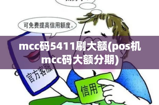 mcc码5411刷大额(pos机mcc码大额分期)
