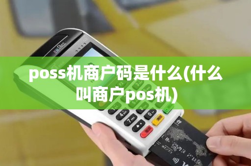 poss机商户码是什么(什么叫商户pos机)