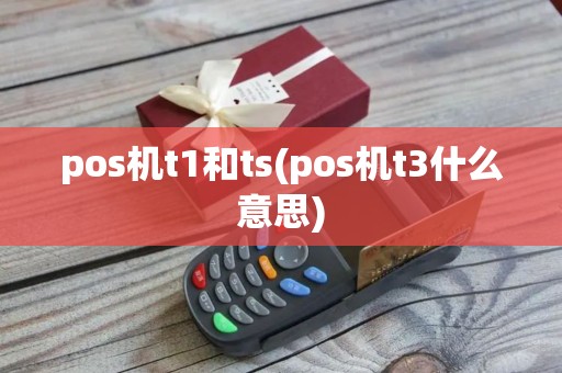 pos机t1和ts(pos机t3什么意思)
