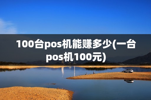 100台pos机能赚多少(一台pos机100元)
