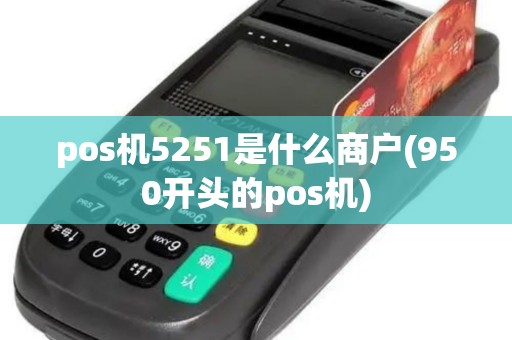 pos机5251是什么商户(950开头的pos机)