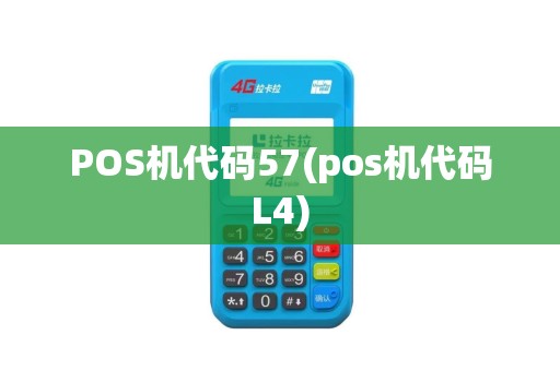 POS机代码57(pos机代码L4)