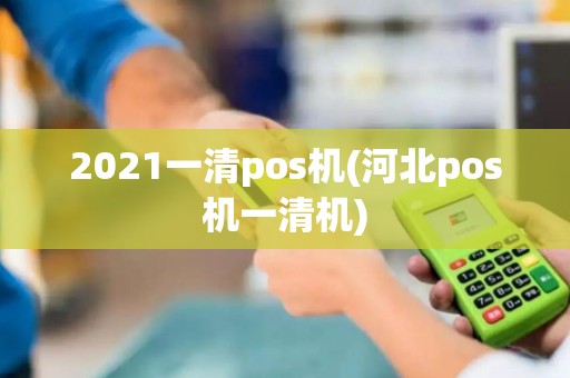 2021一清pos机(河北pos机一清机)
