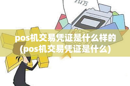 pos机交易凭证是什么样的(pos机交易凭证是什么)
