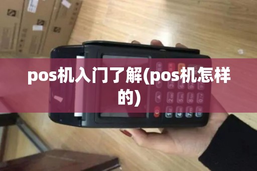 pos机入门了解(pos机怎样的)