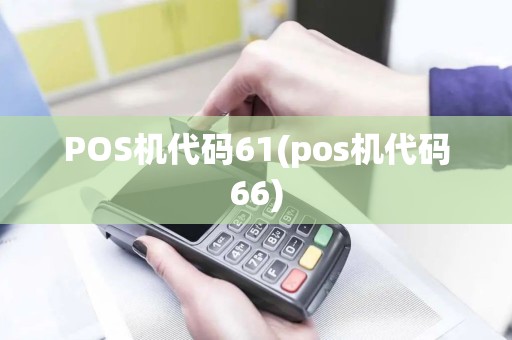 POS机代码61(pos机代码66)