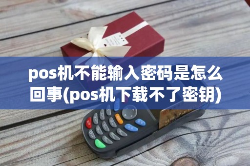 pos机不能输入密码是怎么回事(pos机下载不了密钥)