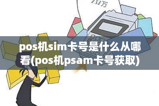 pos机sim卡号是什么从哪看(pos机psam卡号获取)