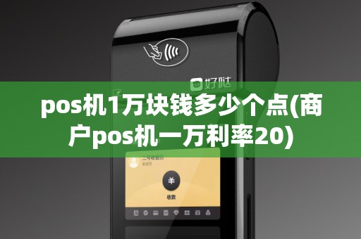 pos机1万块钱多少个点(商户pos机一万利率20)