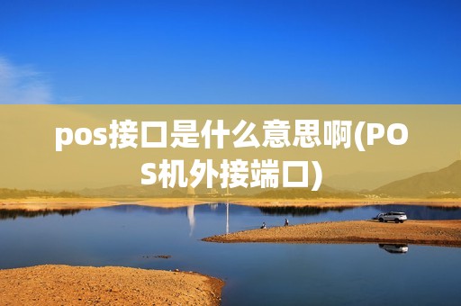 pos接口是什么意思啊(POS机外接端口)