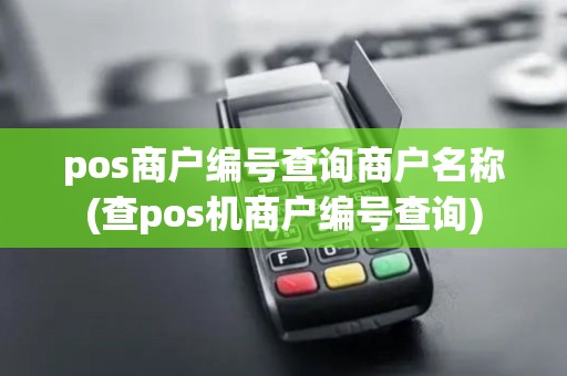 pos商户编号查询商户名称(查pos机商户编号查询)