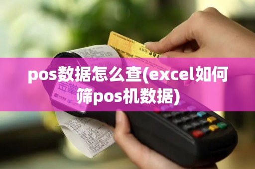 pos数据怎么查(excel如何筛pos机数据)