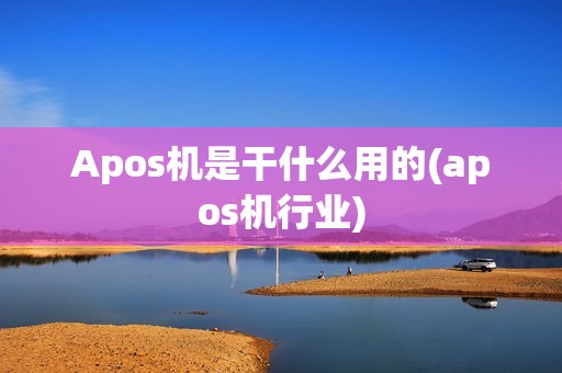 Apos机是干什么用的(apos机行业)