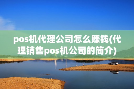 pos机代理公司怎么赚钱(代理销售pos机公司的简介)