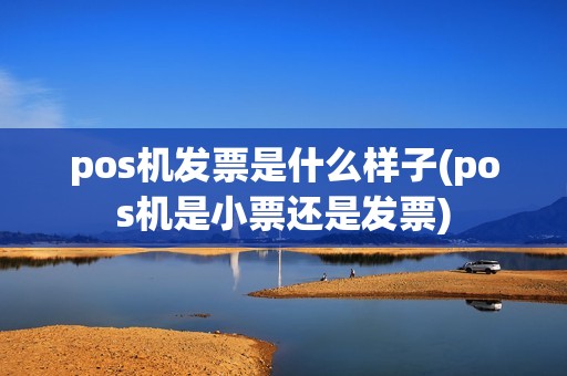 pos机发票是什么样子(pos机是小票还是发票) pos机发票是什么样子(pos机是小票还是发票)