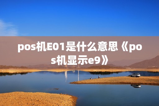 pos机E01是什么意思《pos机显示e9》